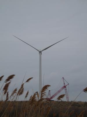 Hull Wind Turbine Vestas V80 1.8 megawatt