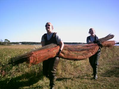 moving shellfish nets