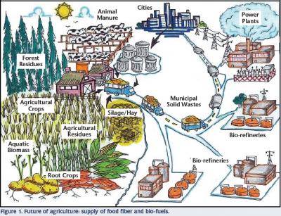 bio fuels from farm waste