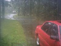 Rain from my window