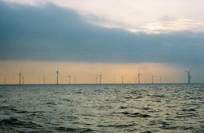 nysted wind farm