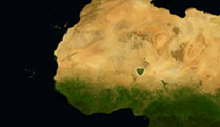 giant tree heart in Africa