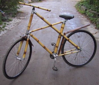bamboo bike