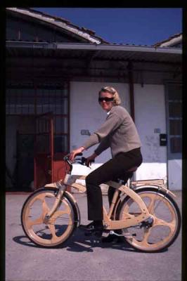 wooden bike