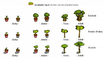 tree key icons