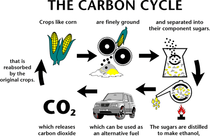 carbon cycle of ethanol
