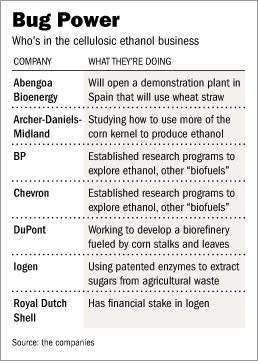 players in bacteria ethanol market