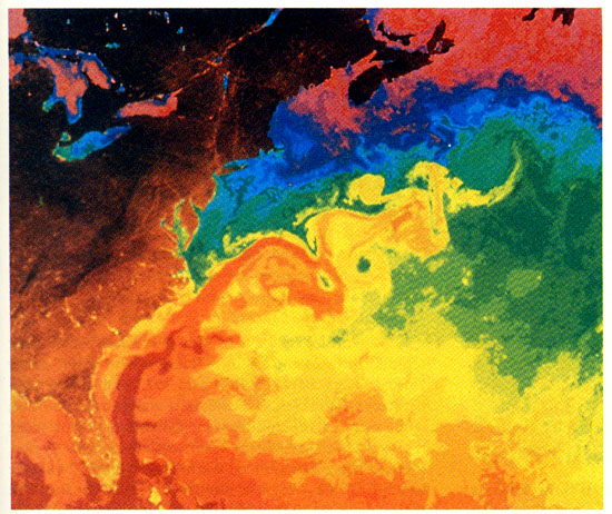 ocean currents animation. You can see how ocean currents