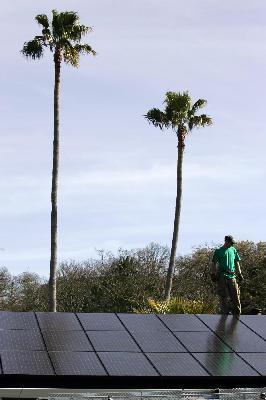 solar system with palm trees