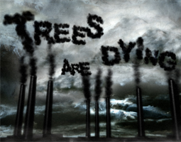 trees are dying