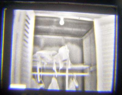 thermal image