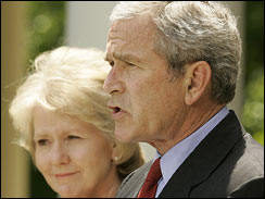 bush in rose garden