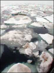 melting arctic
