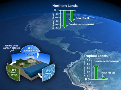 carbon cycle