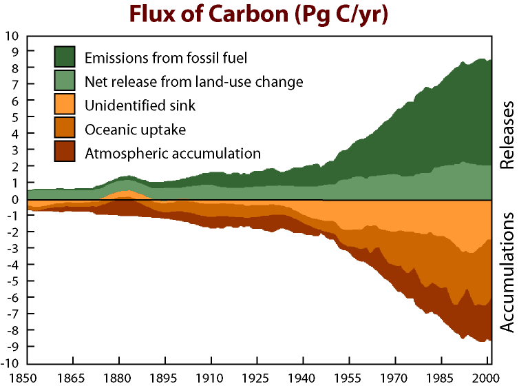 Exactly Where Does All That Co2 Go Scientists Close In On