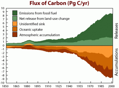 missing carbon sink