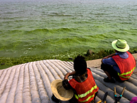 wuxi algae tai lake