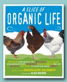 a slice of organic life