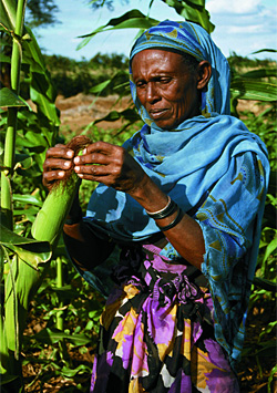 african farmer