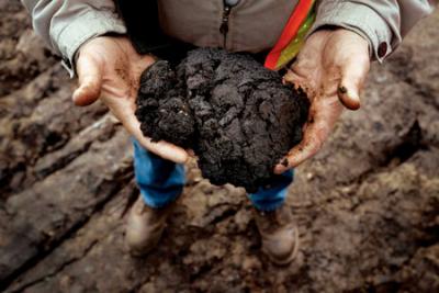 tar sand in hand