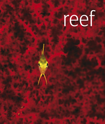 Reef the book from DK