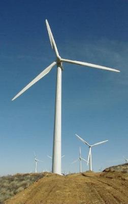 wind farm