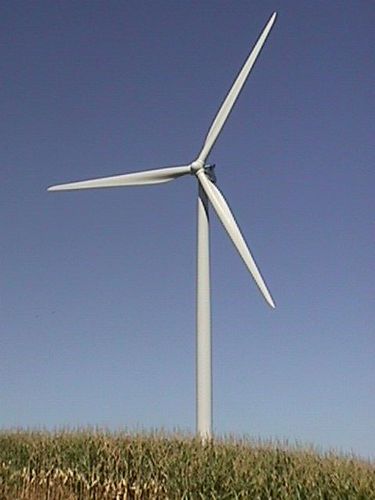 wind turbine with grass