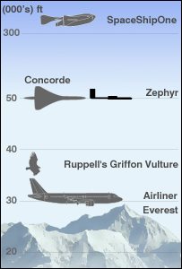 zephyr height