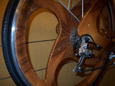mystery wooden bike