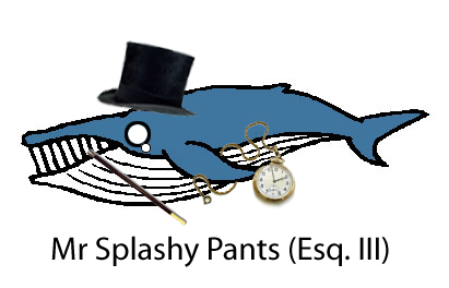 Mr Splashy Pants