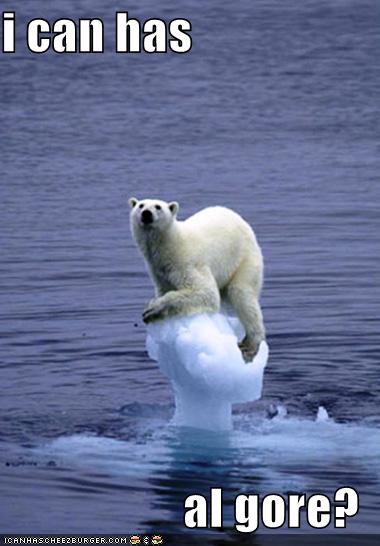 global warming bear