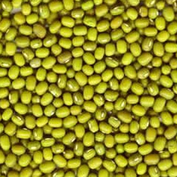 mung bean account