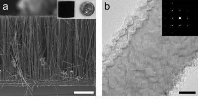 silicon nanowires