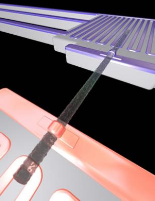 silicon nanowires