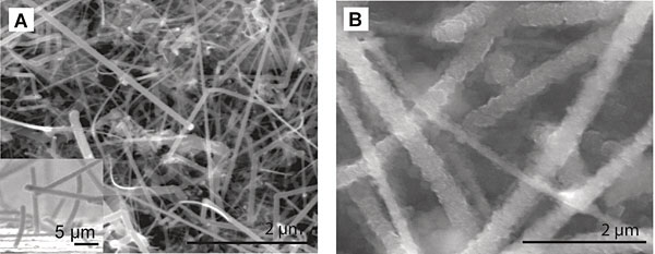 nanowire battery