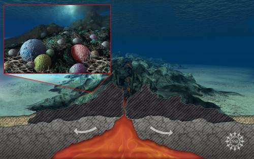 sea floor bacteria