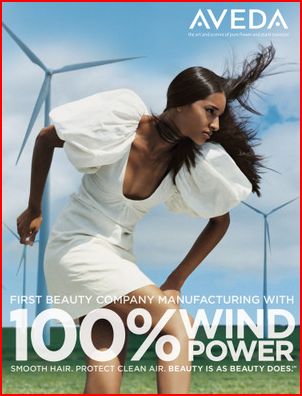 100percent-wind