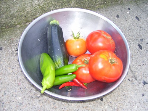 Today\'s harvest