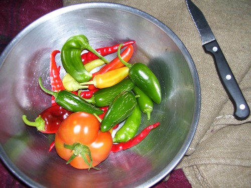 A whole bowl of peppers, and a tomatoe to boot!