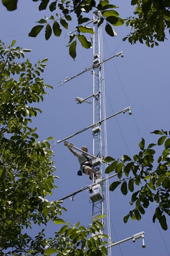 Scientists used specially-equipped towers to measure chemical emissions from plants in a walnut grove in California.