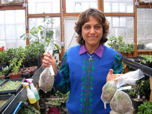 Nalini Nadkarni of Evergreen State College at Cedar Creek.