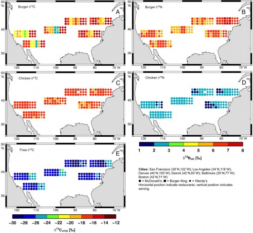Carbon and nitrogen stable isotope values of all foods sampled, positioned according to geographic region (Aâ€“E). Chains are designated by symbol, stable isotope value is designated by color. The 3 restaurants sampled differ by horizontal position, whereas the 3 servings differ by vertical position, creating a grid of 9 values for each chain within each city. Three missing points (Câ€“E) reflect 2 lost substrates from within the entire study (1 serving of chicken and 1 serving of fries). 