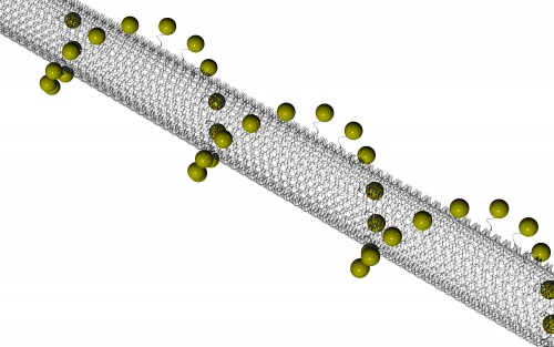 This cartoon depicts a single nanotube formed from DNA tile arrays with gold particles attached.