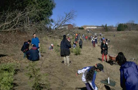 students-planting-trees-image