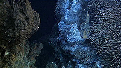 Iron spewed from hydrothermal vents and carried away by seawater does not rust.