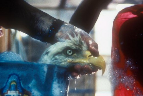 eagle_wash_exxon_valdez_89