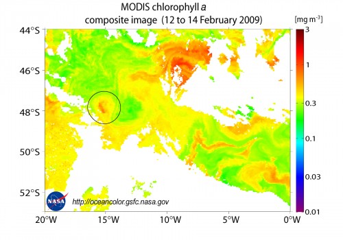 Satellitenaufnahme der Chlorophyllkonzentrationen