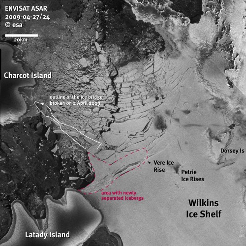 The figure displays the Envisat Advanced Synthetic Aperture Radar (ASAR) image from 27 April 2009 superimposed on an image from 24 April 2009. The margins of the collapsed ice bridge that formerly connected Charcot and Latady Islands are outlined in white. The demise of the ice bridge led to a destabilisation of the northern ice front of the Wilkins Ice Shelf, where the first icebergs calved off on 20 April 2009 (area denoted in red).