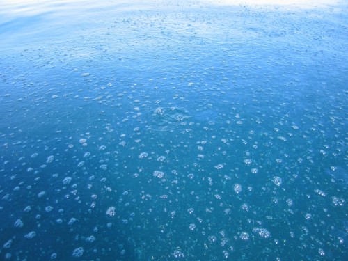 Seeping oil and methane floats on the ocean's surface off Coal Oil Point.