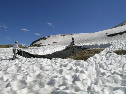 Experiments included using black fabric to absorb the Sun's energy; dust was added to other sites.